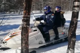 Спасатели Ямала нашли живыми пропавшую в тундре женщину с двумя детьми